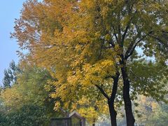 -陆家嘴万怡酒店·万荟轩