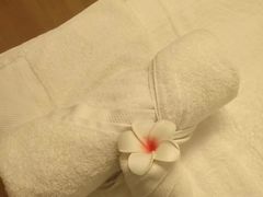 -淳SPA·精油按摩(蓝海御华大饭店)