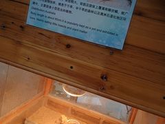 -上海大自然野生昆虫馆(东方明珠·爬宠昆虫探索中心)