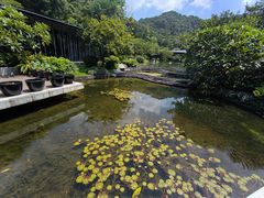 -云溪植物园