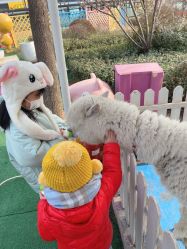 -萌宠亲子动物乐园(槐房万达店)