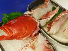 东星斑-阳光岛·海鲜盛宴(银泰中心in99店)