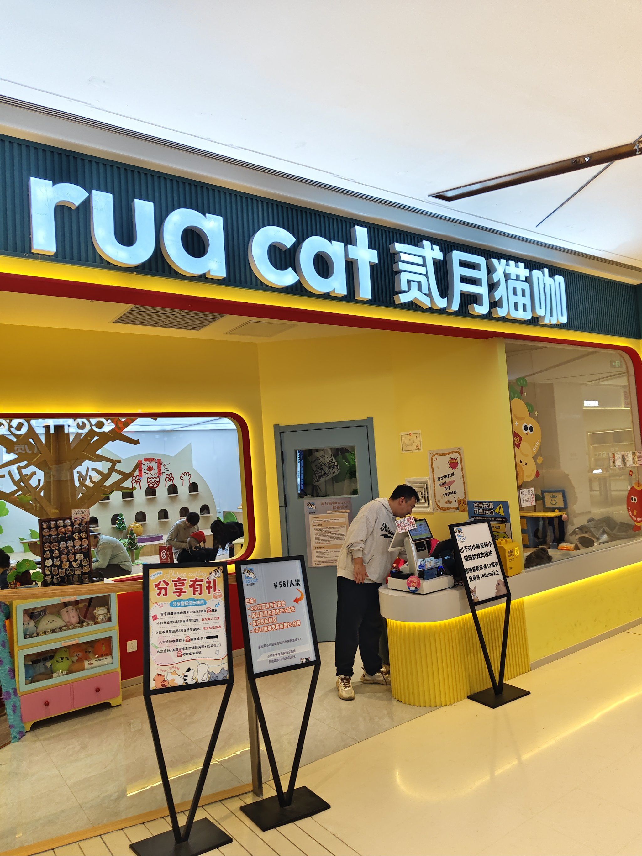 猫咖太开心了