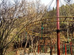 -原山国家森林公园