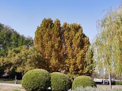 -天津万象城