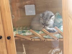 -艺味深尝(云锦路店)