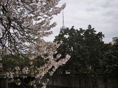 -成都市活水公园