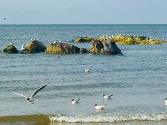 -北戴河东海水浴场