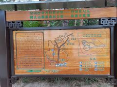 -帽儿山国家森林公园