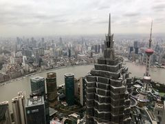 -上海柏悦酒店·世纪100牛排馆