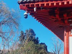 -华清宫景区