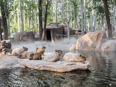 -北京野生动物园