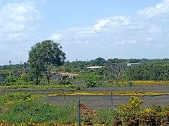 -东寨港红树林旅游区