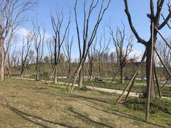 -白鹭湾湿地公园