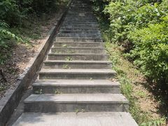 -桃花岭景区