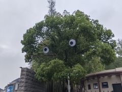 -宜兴龙背山森林公园