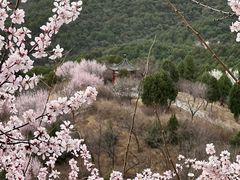 -北京西山国家森林公园