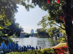 -荔湾湖公园
