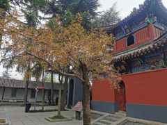 -洛阳白马寺