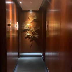 -月幸福月子中心(静安店)