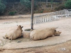 -泉州海丝野生动物世界