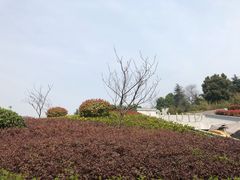 -UNI UNI(环亚凯瑟琳店)