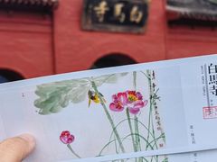 -洛阳白马寺