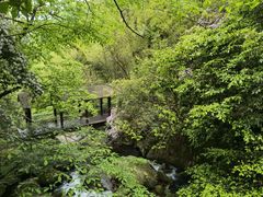 -大围山国家森林公园