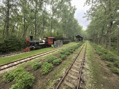 -合肥滨湖国家森林公园