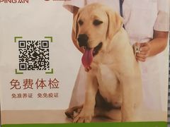 -瑞派·关忠动物医院(国瑞店)