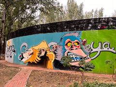 -北京野生动物园