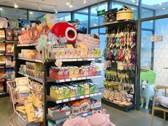 -萌兽医馆·眼科·异宠专科(三里屯店)