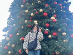 -卢森堡圣母教堂