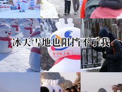 -少华山国家森林公园