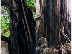 -文儒九号·闽菜馆(三坊七巷店)