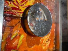 -蜀江龙火锅(339店)