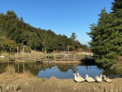 -鼓岭旅游度假区
