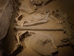 -洛阳周王城天子驾六博物馆