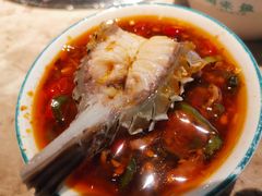 -淘米捞·米汤脆鲩鱼火锅(福田皇岗店)