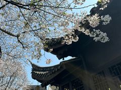 -尚贤河湿地