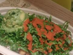 -油梨树AVOCADO TREE(望京店)