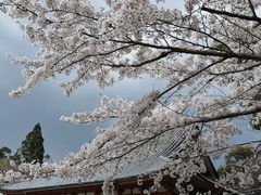 -醍醐寺