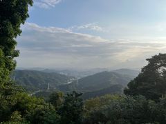 -黄埔油麻山森林公园