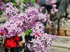 -莲池书院博物馆