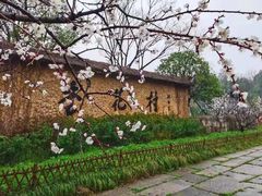 -杏花村文化旅游区