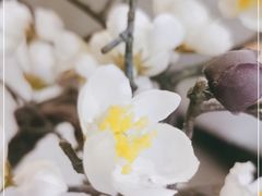 -徽镇小厨·经典徽菜(十里河店)