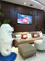 -洁铭新加坡医美