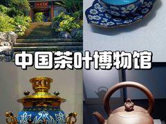 -中国茶叶博物馆(双峰馆区)