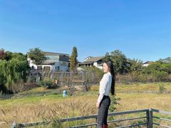 -大塘金香草谷
