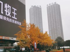 -观音桥步行街